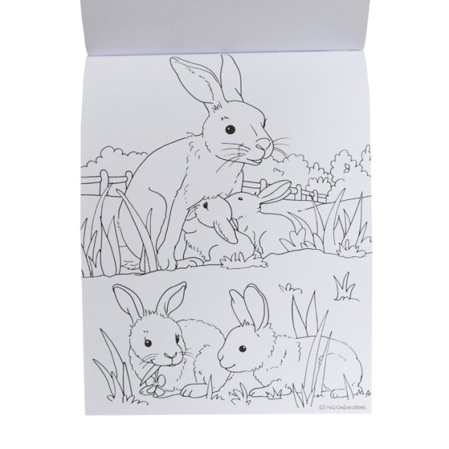 Kleurblok Babydieren , 20 x 27 cm groot uit papier in de kleur /. Geschikt vanaf 4+.