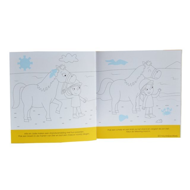 Paarden en Pony's - Plak en Kleur , 20 x 27 cm groot uit papier in de kleur /. Geschikt vanaf 4+.