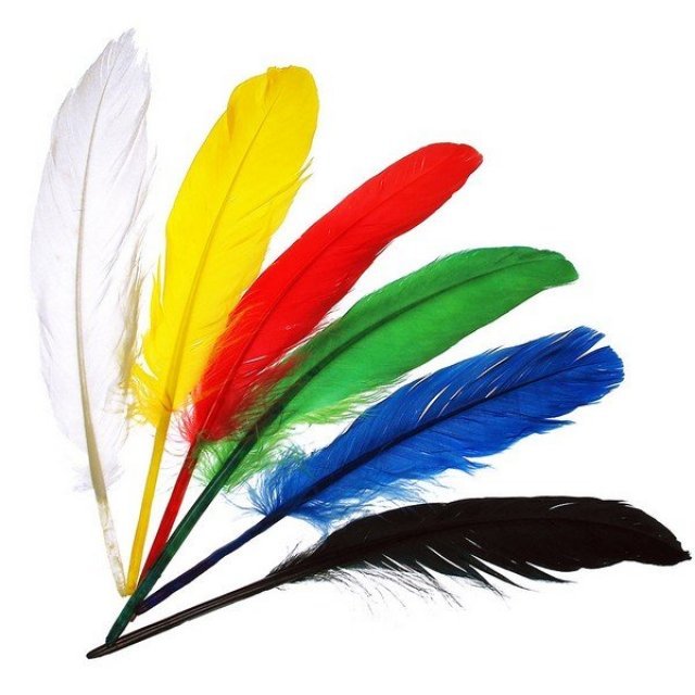 Indianen veren of penveren 17 stuks, 17 tot 20 cm lang in diverse kleuren. Geschikt vanaf 3+.