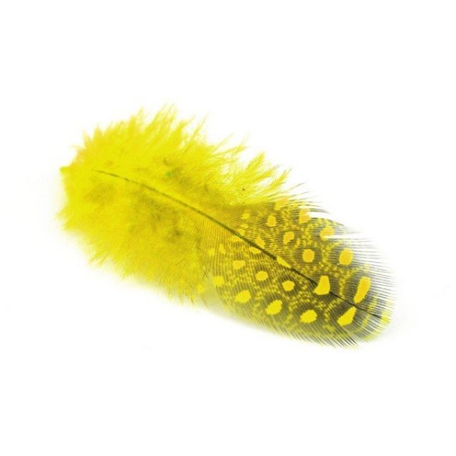 Parelhoen veren 24 stuks, 6 tot 8 cm lang in de kleur geel. Geschikt vanaf 3+.