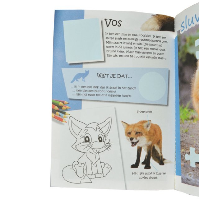 Stickerboek Beestachtig Leuk 5+