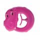 Waterpistool Dieren , 13 cm groot uit kunststof in de kleur ass.. Geschikt vanaf 3+.