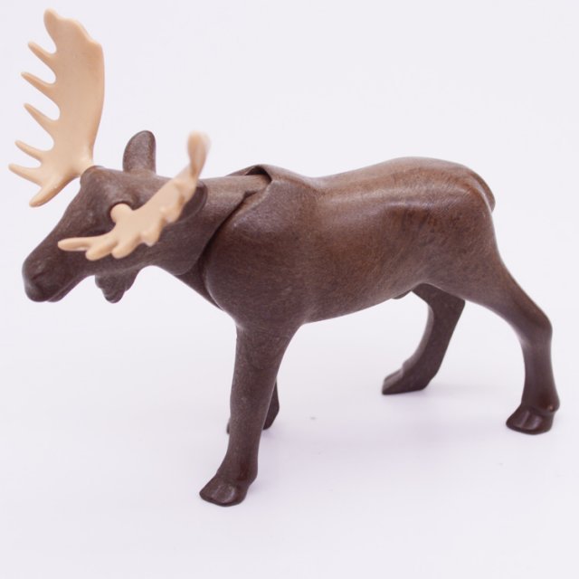 Playmobil 30664560 Eland - Moose ,  groot uit kunststof in de kleur d.bruin. Geschikt vanaf 3+.