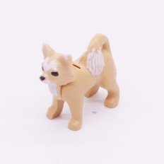 Playmobil 30674092 Hond Chihuahua - Dog Chihuahua