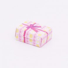 Playmobil 30803914 Cadeauverpakking Roze - Gift Package Pink