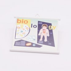 Playmobil 30032580 30804275 Kaart Display Biologie - Display Board Biology